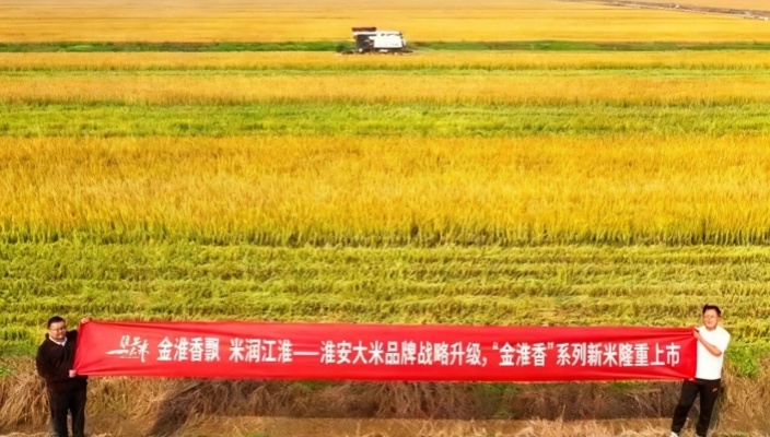 淮安大米新米上市！“金淮香”系列隆重登場(chǎng)
